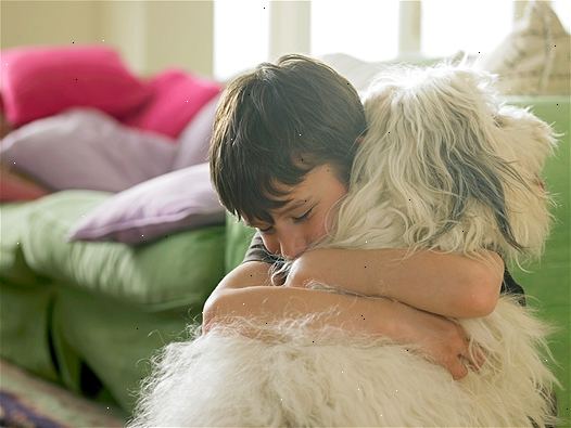 Leva med husdjur när du har astma. Astmaanfall: hålla husdjur och samtidigt hantera astma.