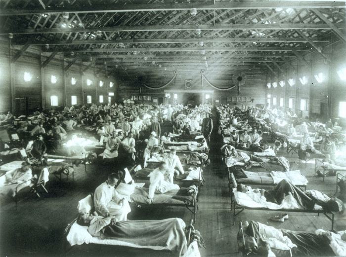 Sanningen om influensapandemier. Skulle du oroa dig en influensapandemi?